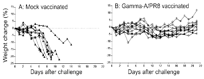 influenza vaccine australia Comparison of trials in mice for Gamma Vaccines